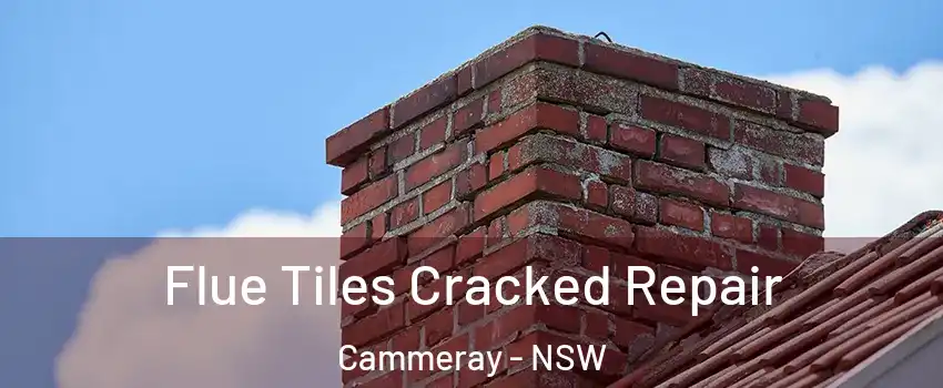 Flue Tiles Cracked Repair Cammeray - NSW