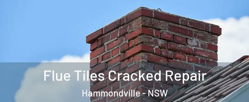 Flue Tiles Cracked Repair Hammondville - NSW