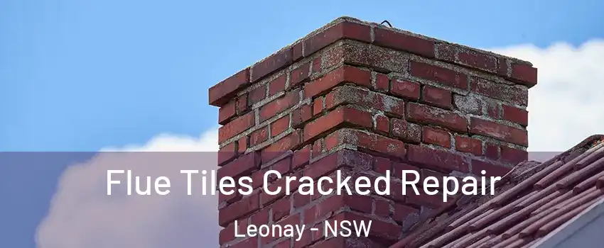 Flue Tiles Cracked Repair Leonay - NSW