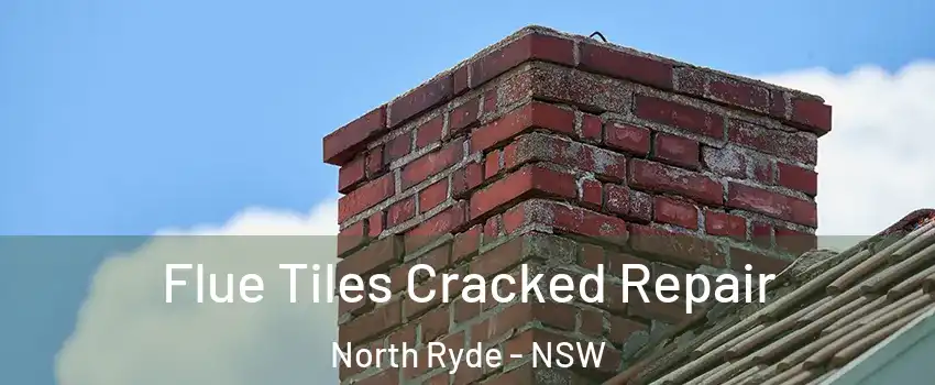 Flue Tiles Cracked Repair North Ryde - NSW