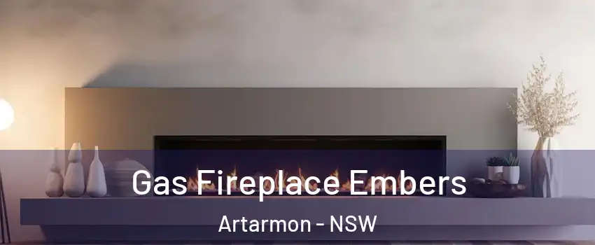 Gas Fireplace Embers Artarmon - NSW
