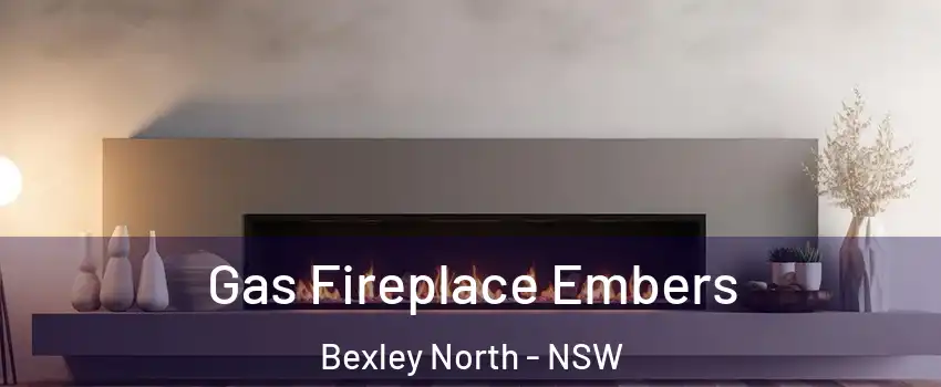 Gas Fireplace Embers Bexley North - NSW