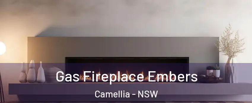 Gas Fireplace Embers Camellia - NSW