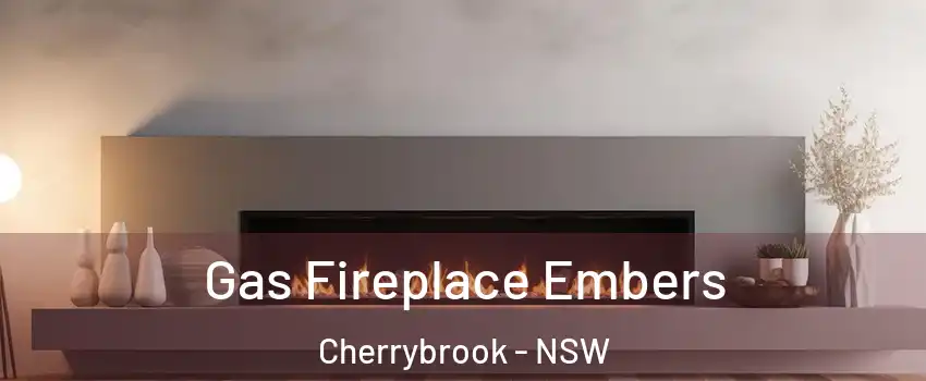 Gas Fireplace Embers Cherrybrook - NSW