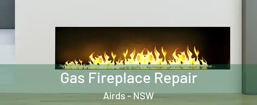 Gas Fireplace Repair Airds - NSW