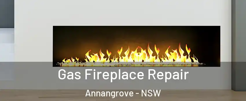 Gas Fireplace Repair Annangrove - NSW