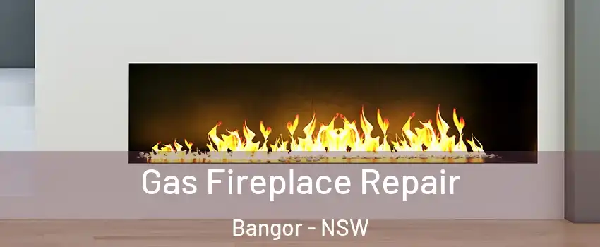 Gas Fireplace Repair Bangor - NSW