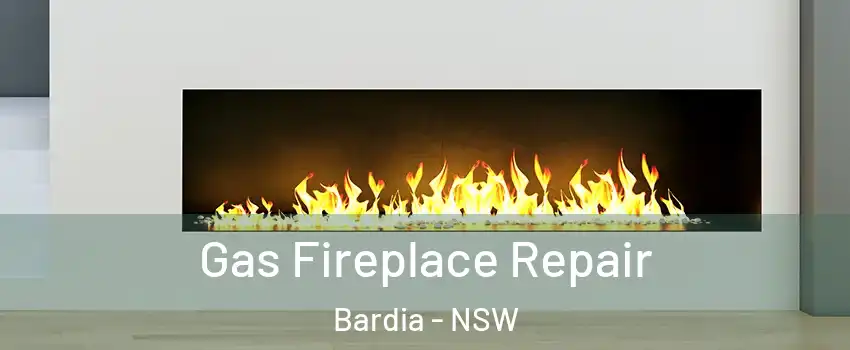 Gas Fireplace Repair Bardia - NSW