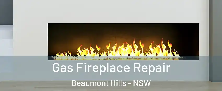 Gas Fireplace Repair Beaumont Hills - NSW