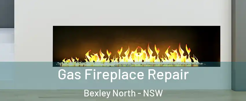 Gas Fireplace Repair Bexley North - NSW