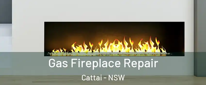 Gas Fireplace Repair Cattai - NSW