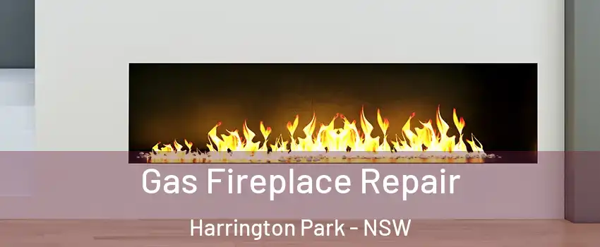 Gas Fireplace Repair Harrington Park - NSW