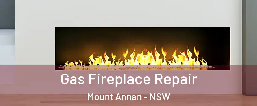Gas Fireplace Repair Mount Annan - NSW
