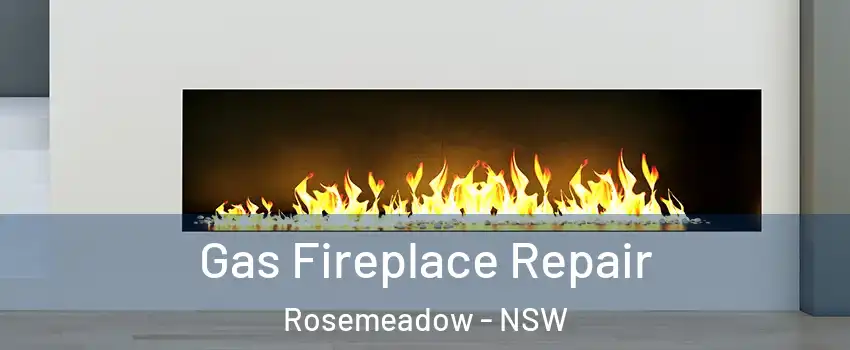 Gas Fireplace Repair Rosemeadow - NSW