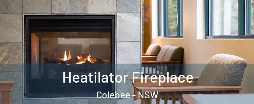  Heatilator Fireplace Colebee - NSW