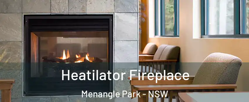 Heatilator Fireplace Menangle Park - NSW