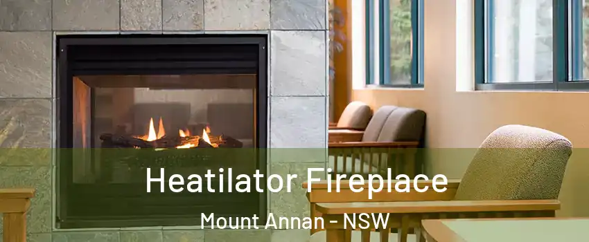 Heatilator Fireplace Mount Annan - NSW
