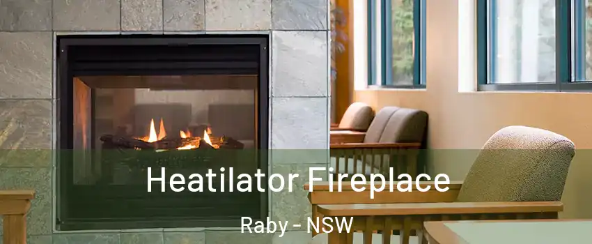 Heatilator Fireplace Raby - NSW