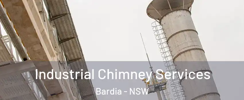 Industrial Chimney Services Bardia - NSW
