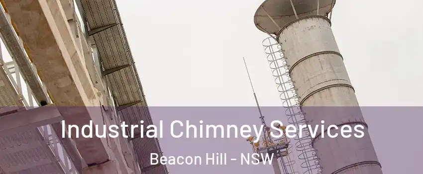  Industrial Chimney Services Beacon Hill - NSW