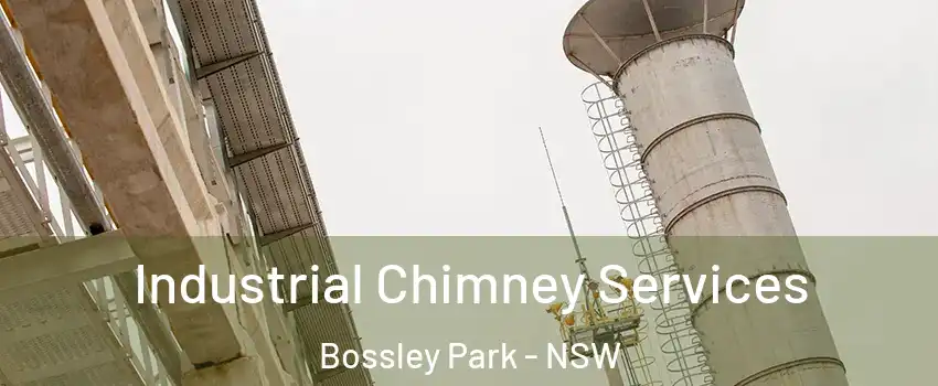 Industrial Chimney Services Bossley Park - NSW