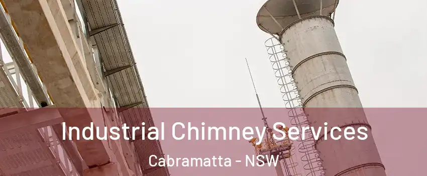 Industrial Chimney Services Cabramatta - NSW