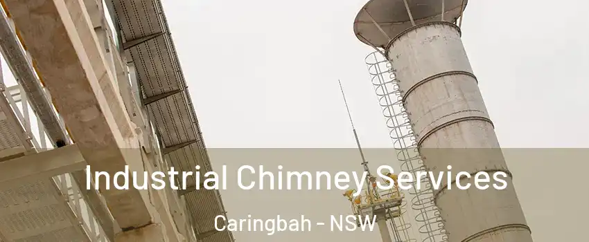 Industrial Chimney Services Caringbah - NSW