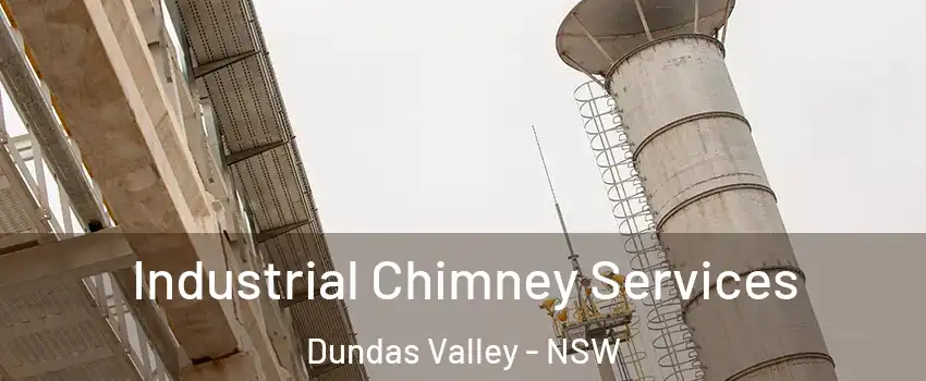 Industrial Chimney Services Dundas Valley - NSW