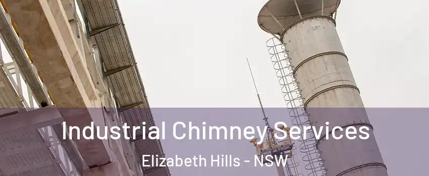 Industrial Chimney Services Elizabeth Hills - NSW