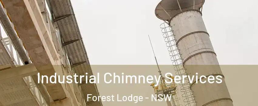 Industrial Chimney Services Forest Lodge - NSW