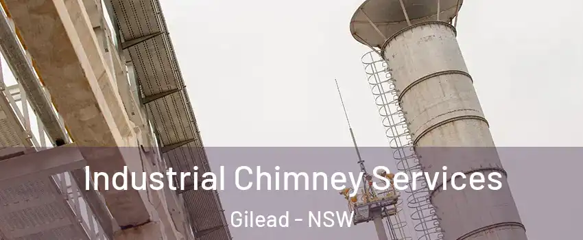 Industrial Chimney Services Gilead - NSW