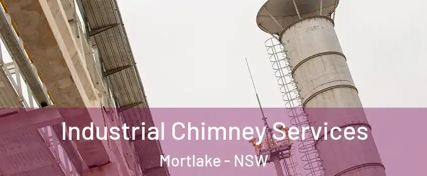 Industrial Chimney Services Mortlake - NSW