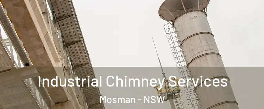 Industrial Chimney Services Mosman - NSW