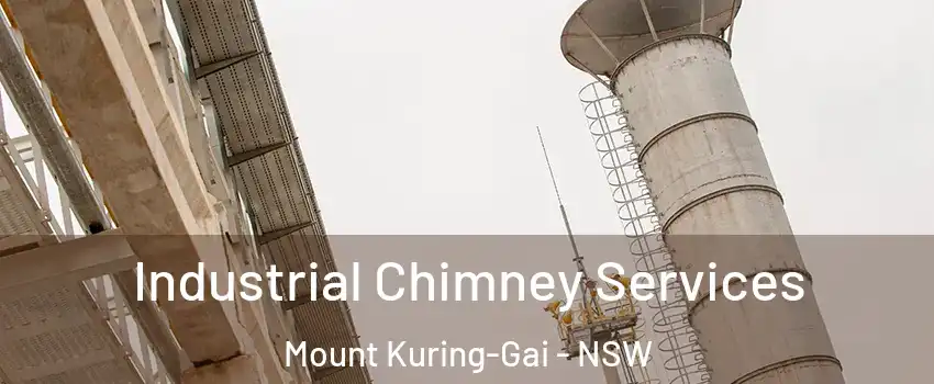Industrial Chimney Services Mount Kuring-Gai - NSW
