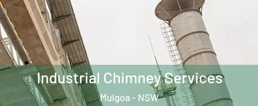 Industrial Chimney Services Mulgoa - NSW