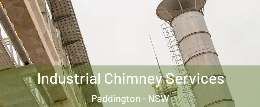 Industrial Chimney Services Paddington - NSW