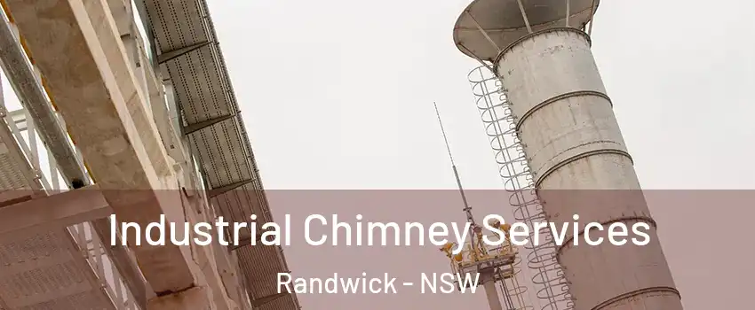 Industrial Chimney Services Randwick - NSW