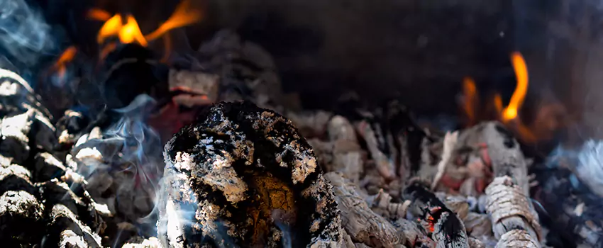 Creosote Removal Experts in Sydney, NSW