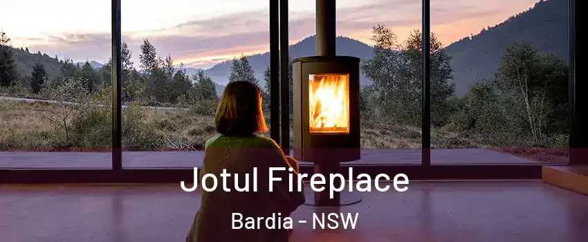 Jotul Fireplace Bardia - NSW