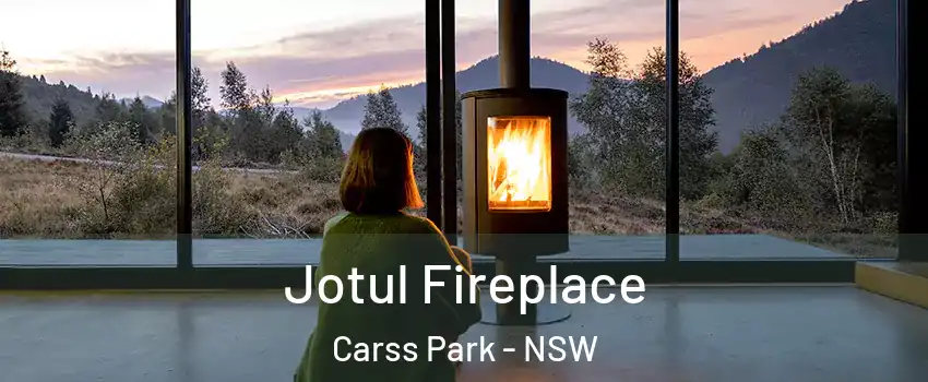Jotul Fireplace Carss Park - NSW