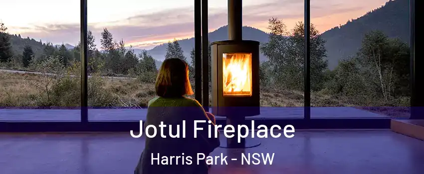 Jotul Fireplace Harris Park - NSW