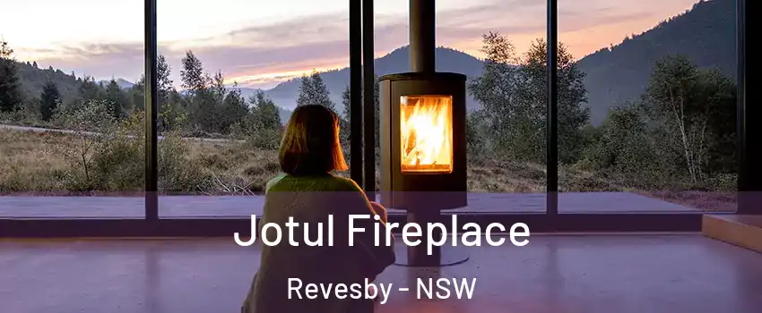 Jotul Fireplace Revesby - NSW