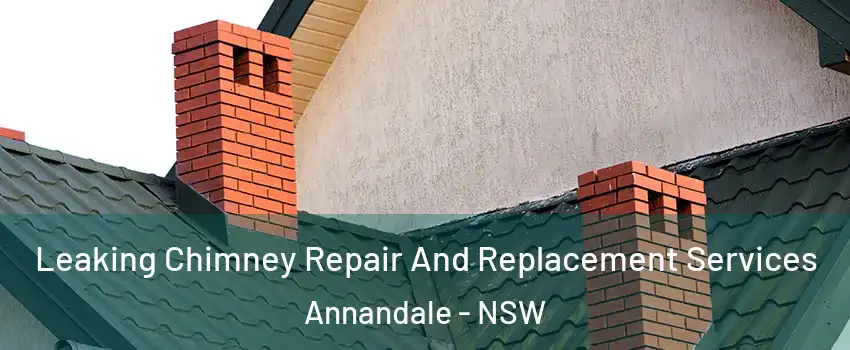 Leaking Chimney Repair And Replacement Services Annandale - NSW