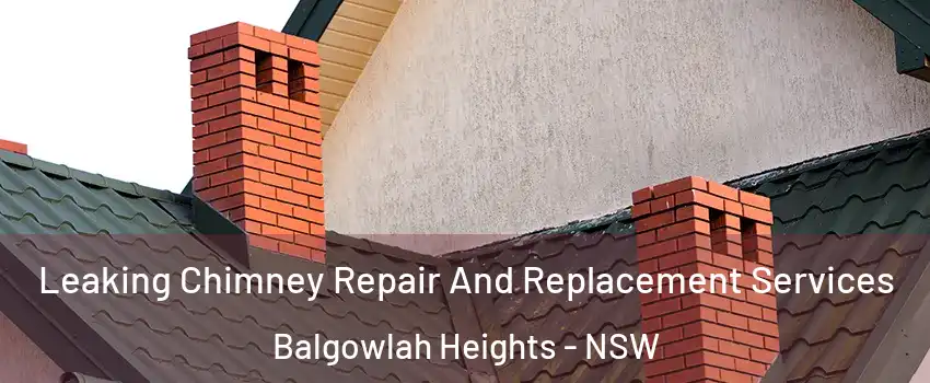 Leaking Chimney Repair And Replacement Services Balgowlah Heights - NSW