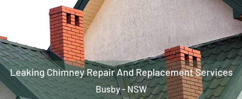 Leaking Chimney Repair And Replacement Services Busby - NSW