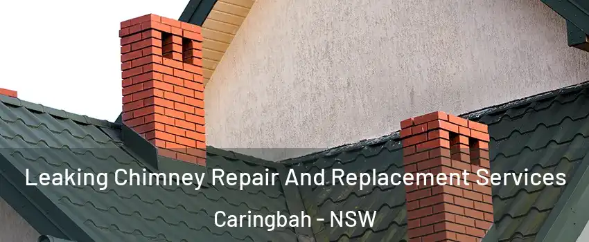 Leaking Chimney Repair And Replacement Services Caringbah - NSW