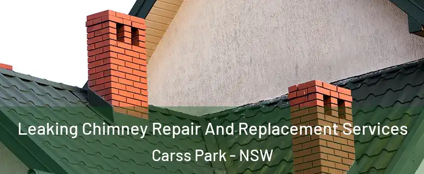 Leaking Chimney Repair And Replacement Services Carss Park - NSW