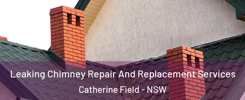 Leaking Chimney Repair And Replacement Services Catherine Field - NSW