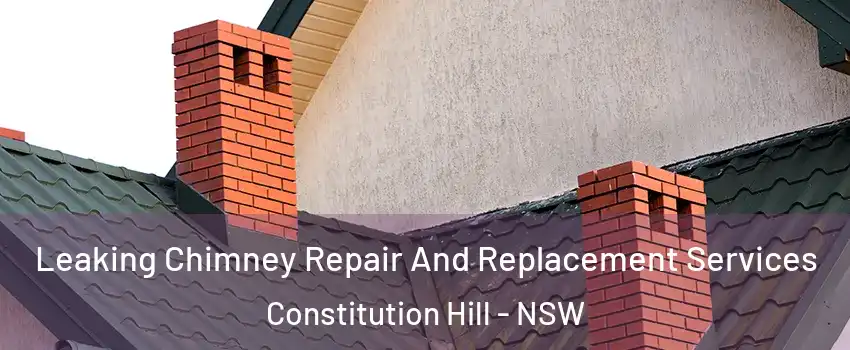 Leaking Chimney Repair And Replacement Services Constitution Hill - NSW