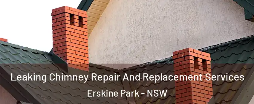 Leaking Chimney Repair And Replacement Services Erskine Park - NSW